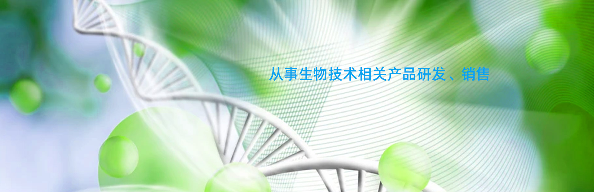濟(jì)寧經(jīng)濟(jì)開(kāi)發(fā)區(qū)金億重工有限公司<br>